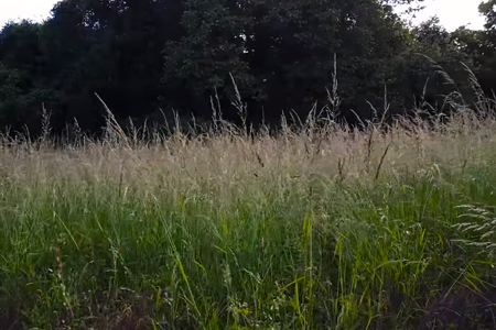 video mavic pro montauger 91090 Lisses