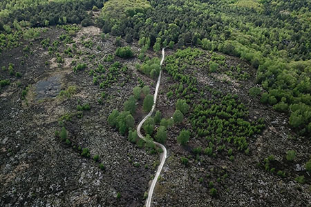 mavic pro DJI