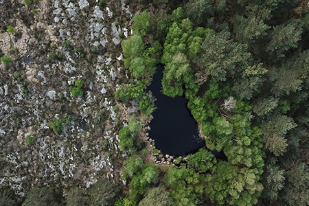 mavic pro DJI
