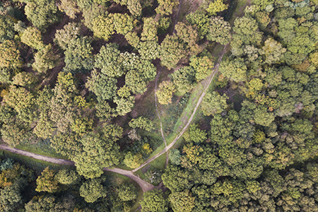mavic pro DJI